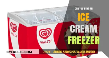 Sweet Treats on Hold: Renting an Ice Cream Freezer for Your Business