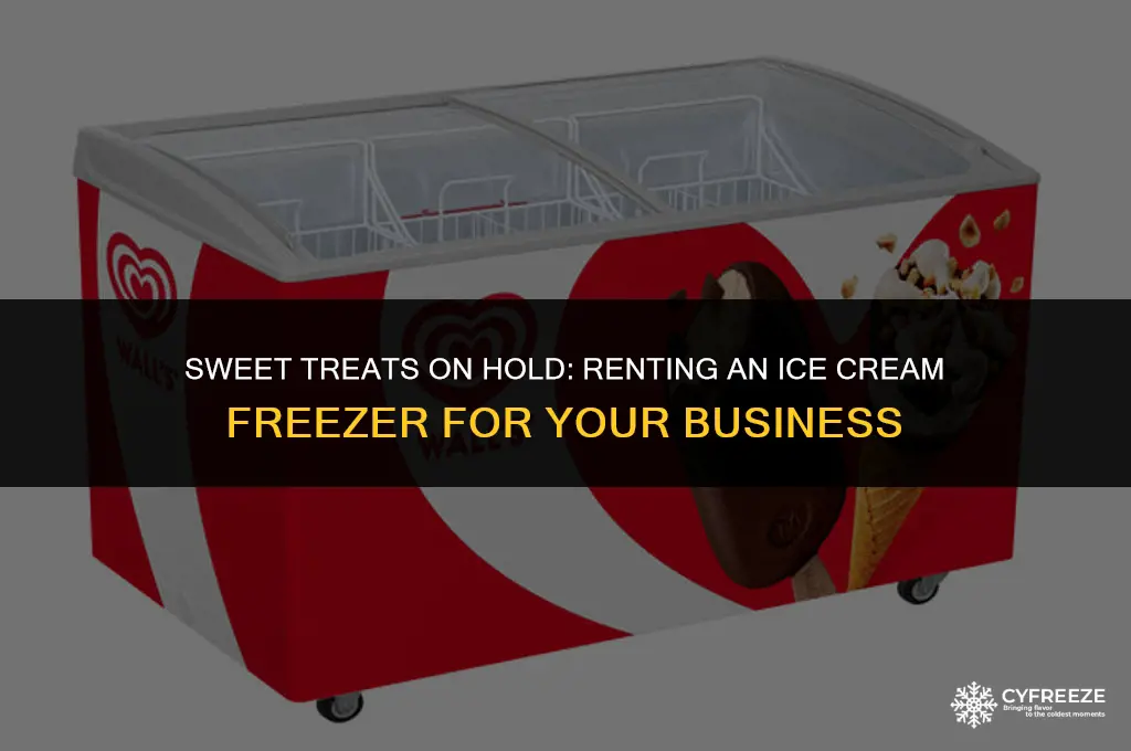 can you rent an ice cream freezer