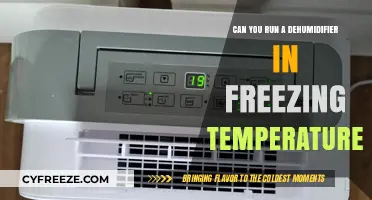 Running a Dehumidifier in Freezing Temps: What You Need to Know