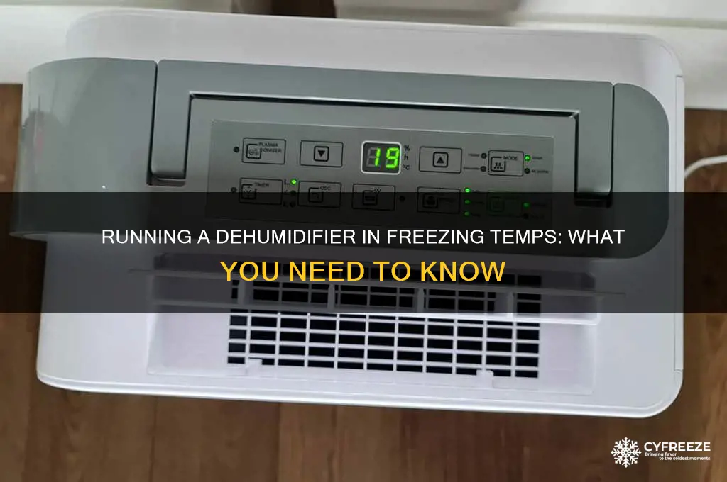 can you run a dehumidifier in freezing temperatures