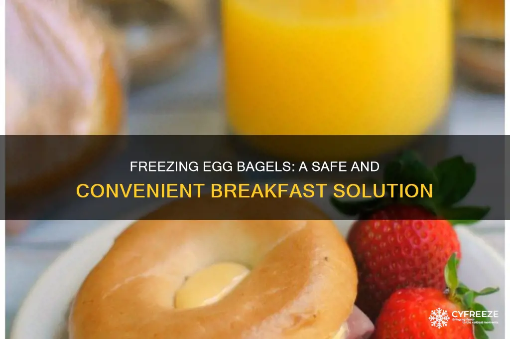 can you safely freeze egg bagels