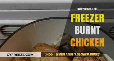Reviving Frozen Delights: Is Freezer-Burnt Chicken Still Safe to Eat?