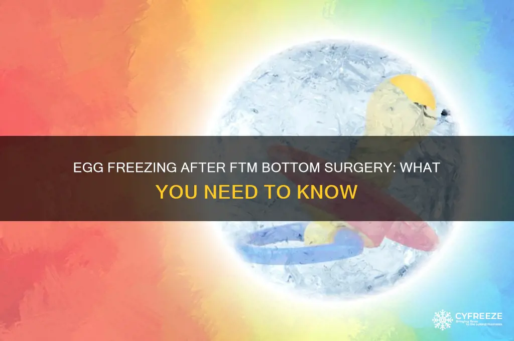 can you still freeze eggs after bottom surgery ftm