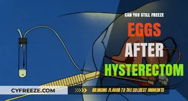 Egg Freezing After Hysterectomy: Fertility Options Explained