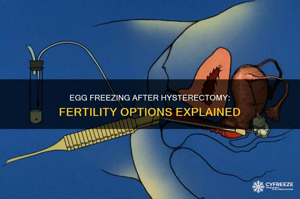 can you still freeze eggs after hysterectomy
