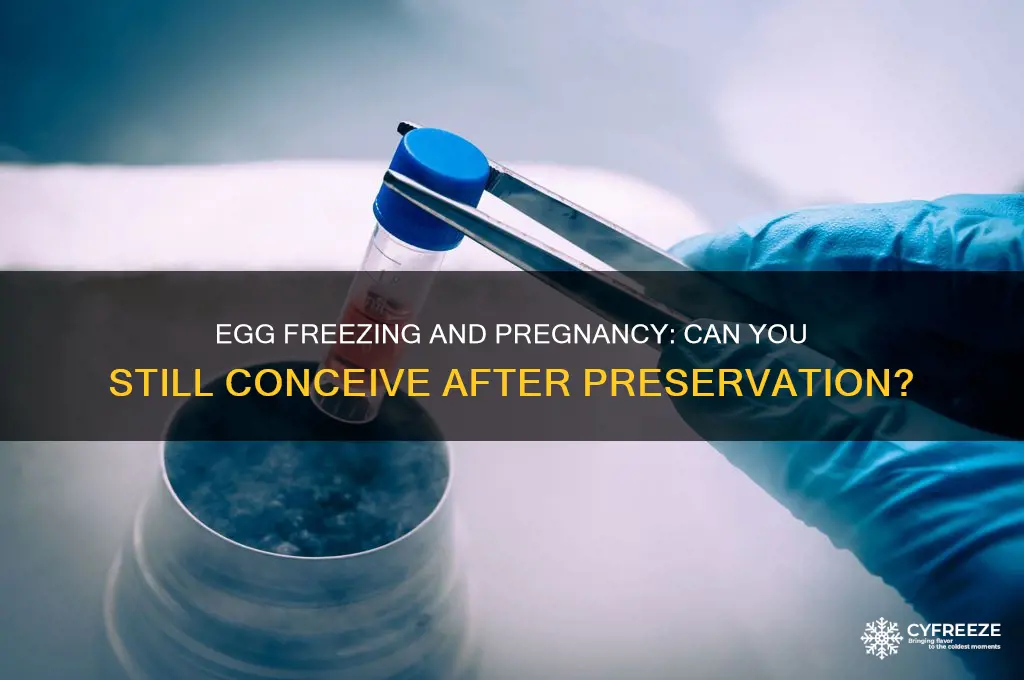 can you still get pregenant if you freeze your eggs