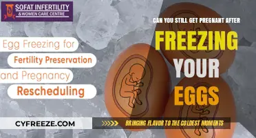 Egg Freezing and Fertility: Can Pregnancy Still Happen After Preservation?