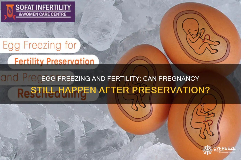 can you still get pregnant after freezing your eggs