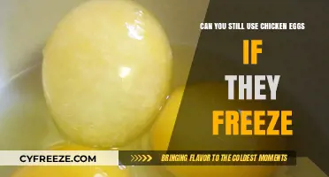 Frozen in Time: The Surprising Truth About Using Frozen Chicken Eggs