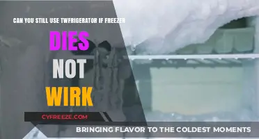 Refrigerator Functionality: Can It Still Work If the Freezer Fails?