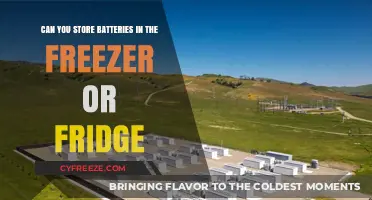 Chilling Batteries: Safe Storage in Your Freezer or Fridge?