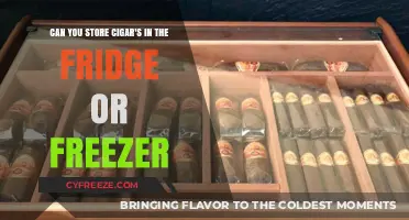 Chill or Not: The Great Cigar Storage Debate