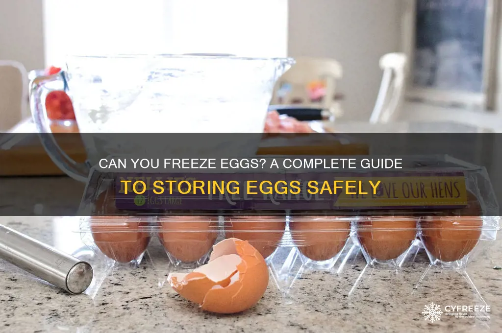 can you store eggs freezer