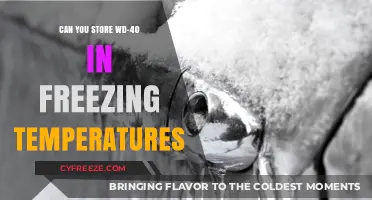 Storing WD-40 in Freezing Temps: What You Need to Know