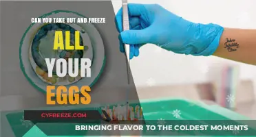 Freezing Your Future: Can You Safely Preserve All Your Eggs?