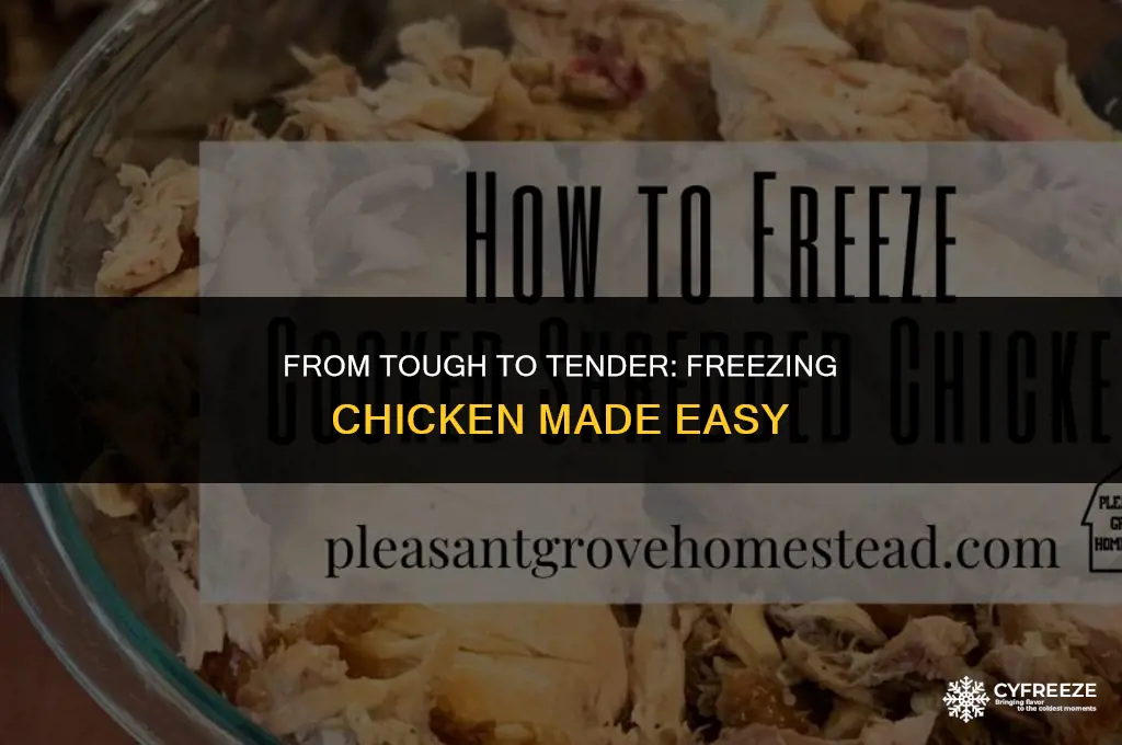 can you tenderize chicken and then freeze it