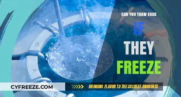 Thawing Frozen Eggs: Safe Practices and Potential Risks Explained