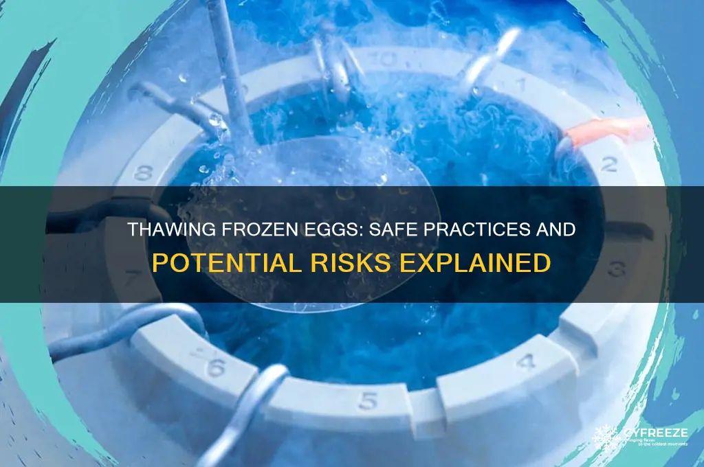 can you thaw eggs if they freeze