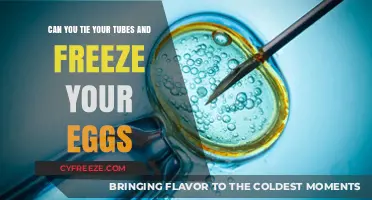 Tying Tubes and Freezing Eggs: Exploring Fertility Preservation Options