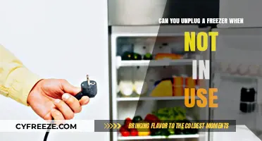 Should You Unplug Your Freezer When Not in Use? Energy-Saving Tips