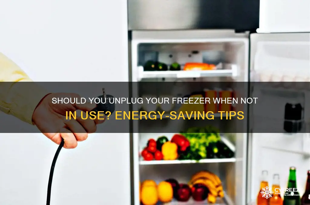 can you unplug a freezer when not in use