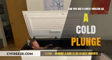 Chest Freezer Cold Plunge: Safe, Effective, or Risky Idea?