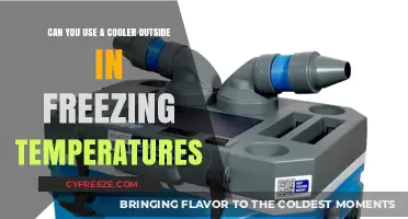 Using Coolers in Freezing Temps: Tips for Outdoor Winter Adventures