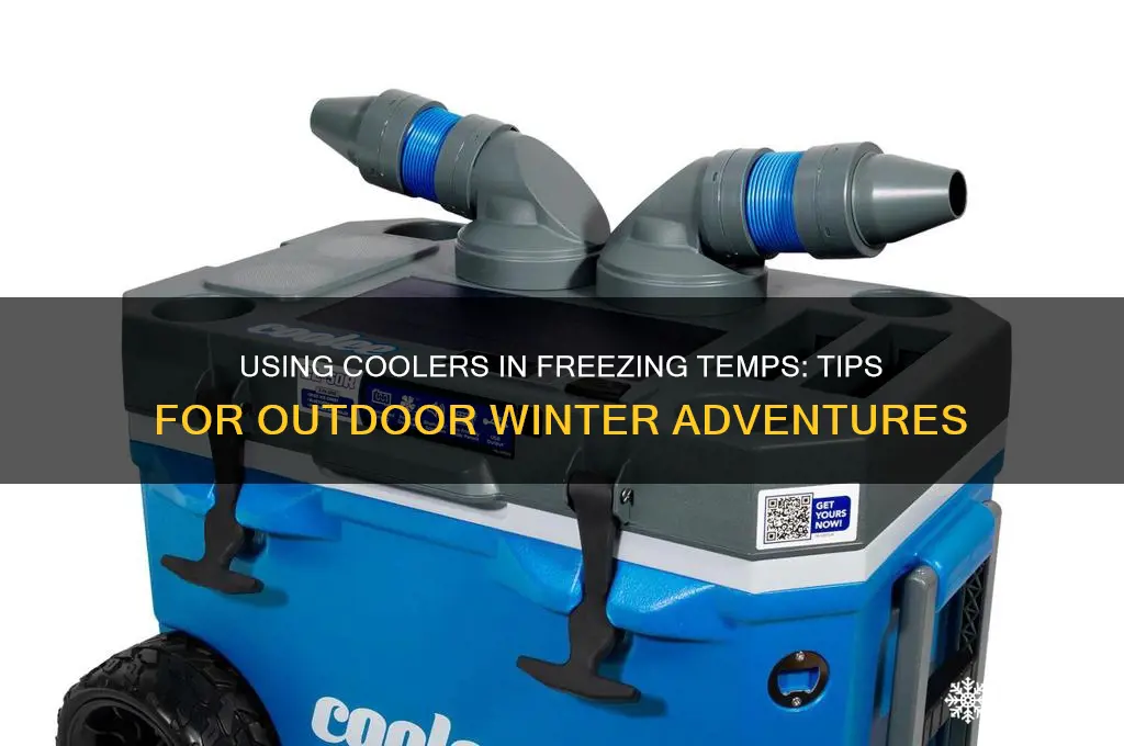 can you use a cooler outside in freezing temperatures