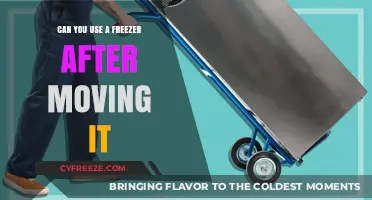Moving Your Freezer? How to Safely Restart It After Relocation