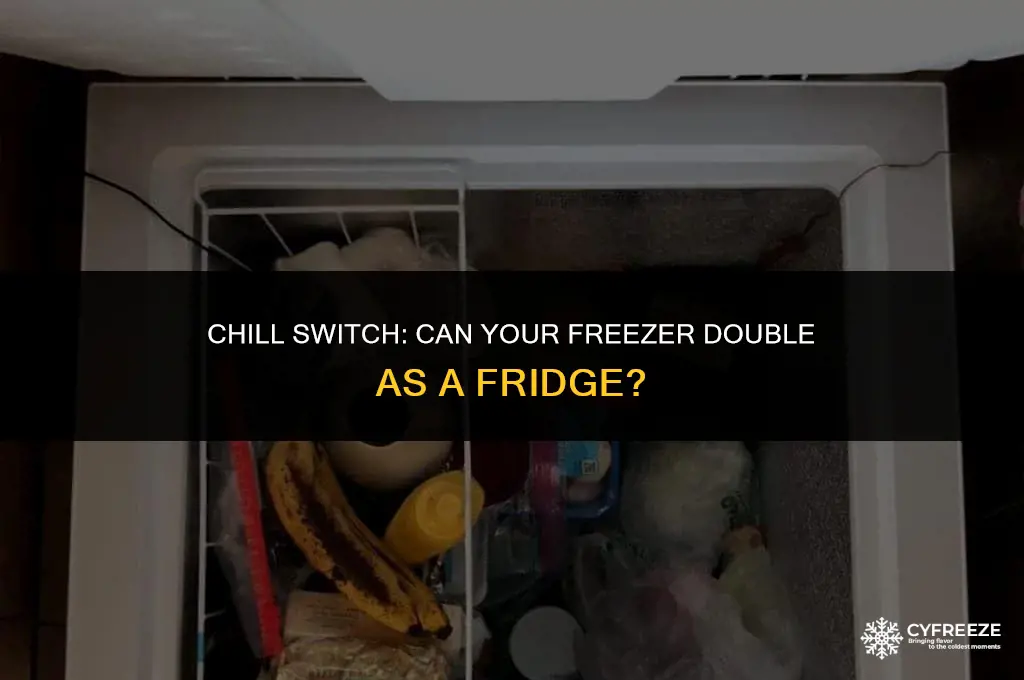 can you use a freezer as a fridge