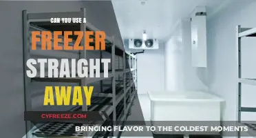 Using a New Freezer Immediately: What You Need to Know