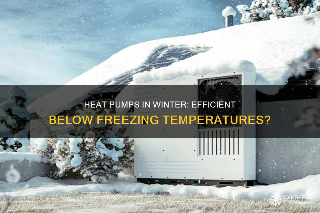 can you use a heat pumpb below freezing