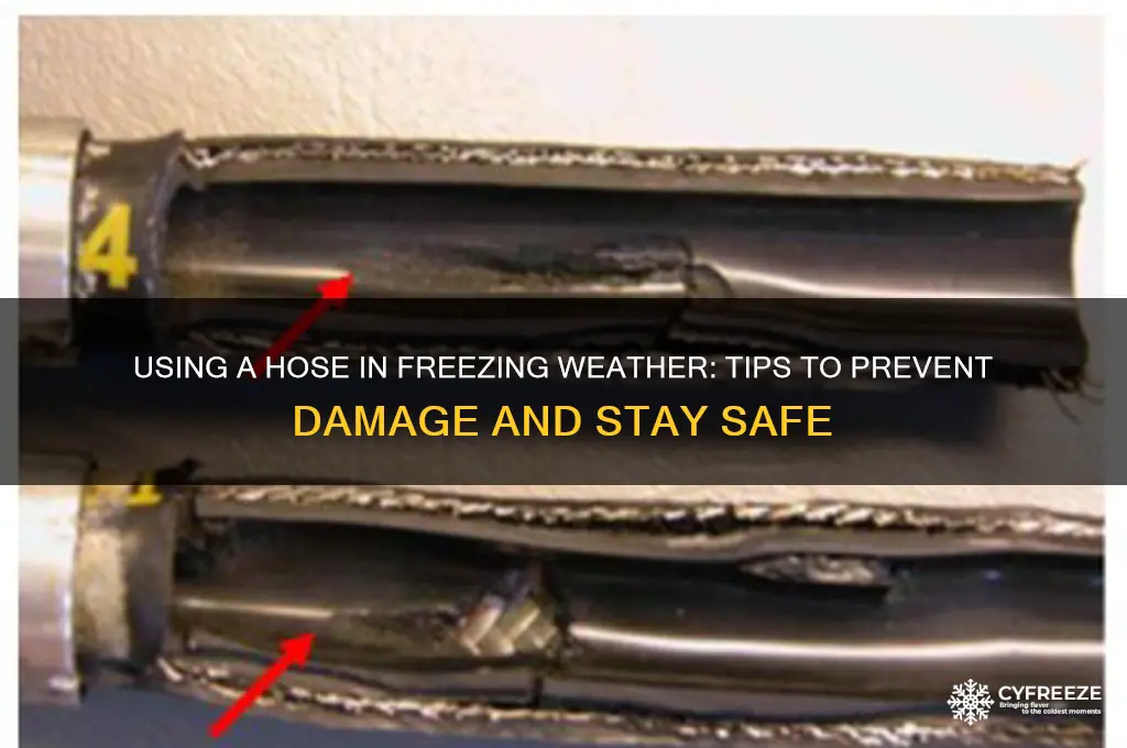 can you use a hose in freezing weather