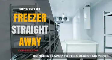 Using a New Freezer Immediately: What You Need to Know