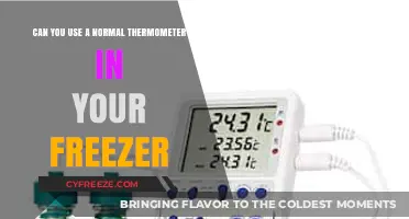 Can Regular Thermometers Accurately Measure Freezer Temperatures?