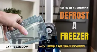Steam Mop for Freezer Defrosting: Safe or Risky Method?