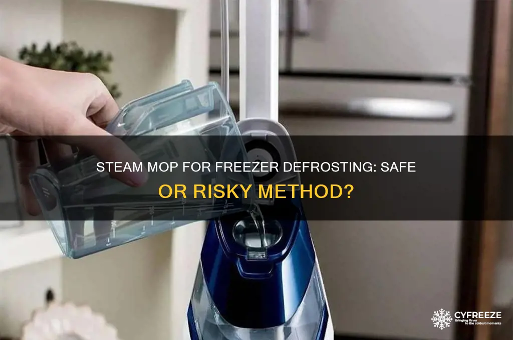 can you use a steam mop to defrost a freezer