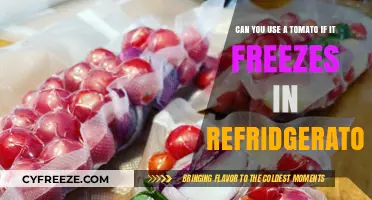 Frozen Tomato in Fridge: Safe to Use or Toss It Out?