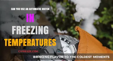 Automatic Watches in Freezing Temps: Performance and Protection Tips