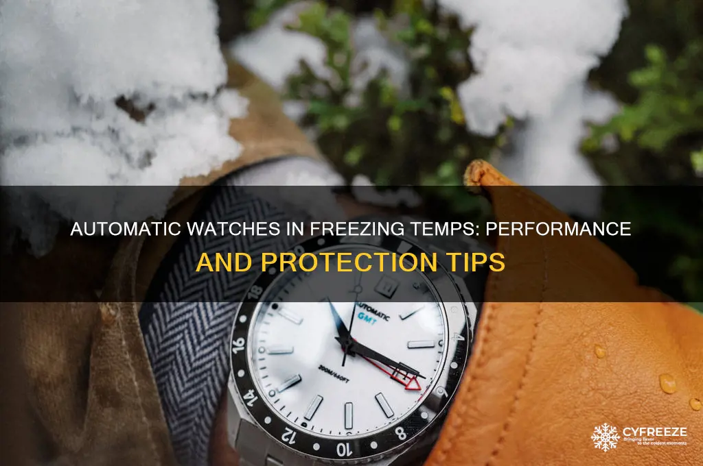 can you use an automatic watch in freezing temperatures