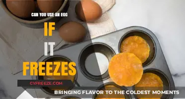 Frozen Eggs: Safe to Use or Should You Toss Them?