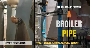 Using Antifreeze in Broiler Pipes: Safe or Risky Practice?