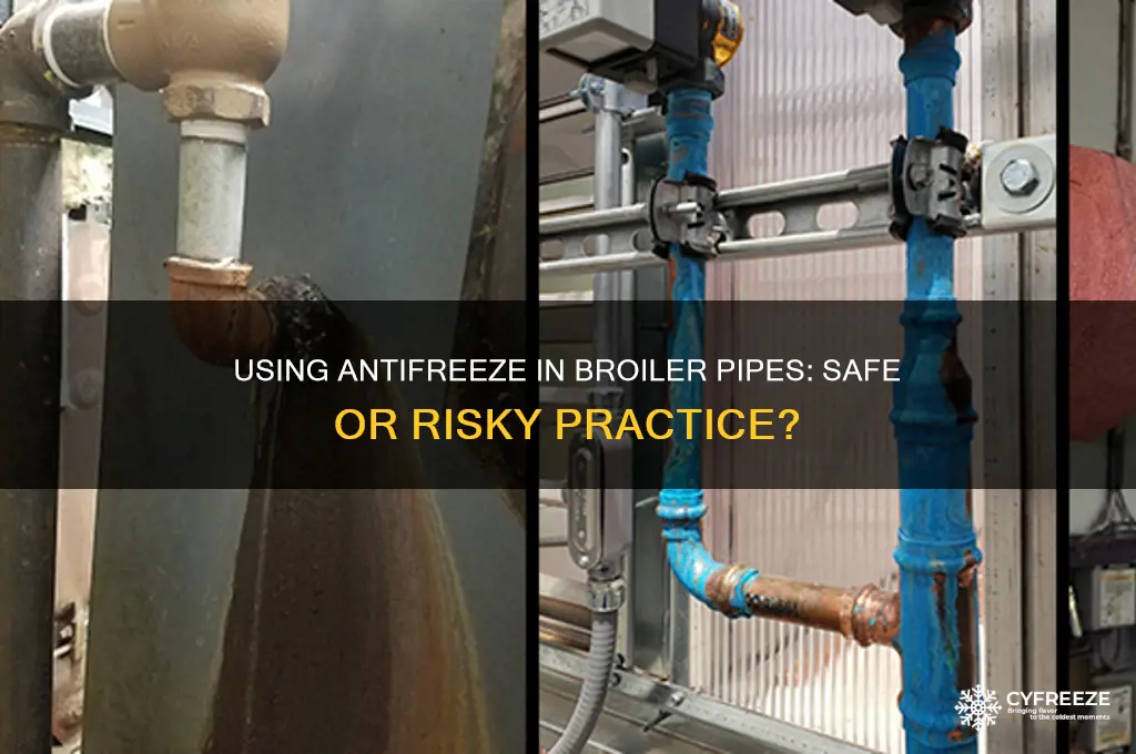 can you use anti freeze in a broiler pipe