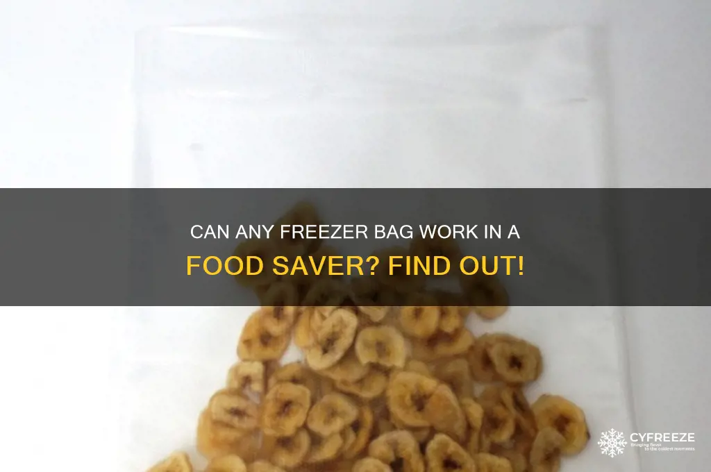 can you use any brand freezer bag in food saver