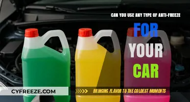 Choosing the Right Anti-Freeze: A Guide for Your Car's Safety