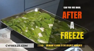 Reviving Frozen Basil: Tips for Using It After a Freeze