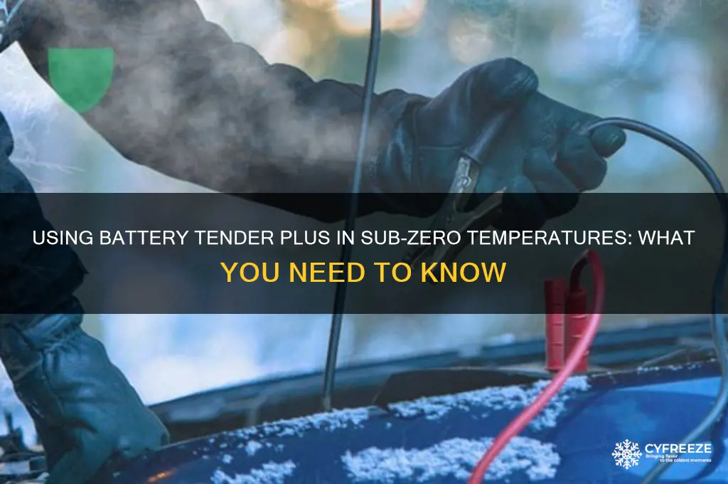 can you use battery tender plus below freezing