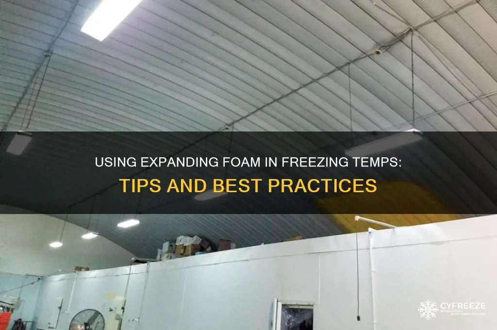 can you use expanding foam in freezing temperatures