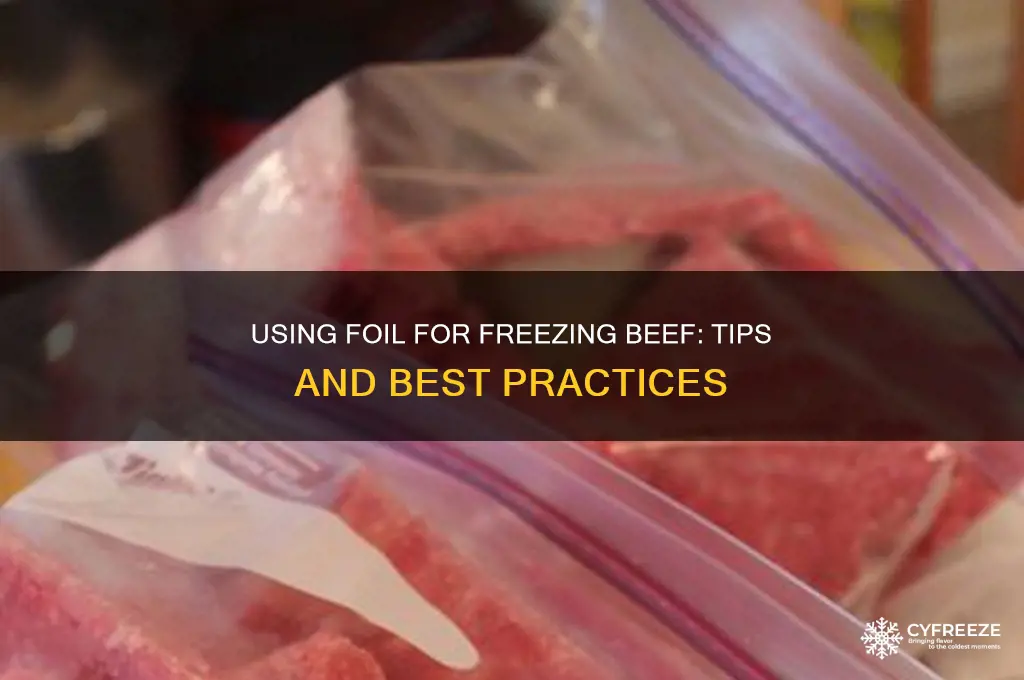 can you use foil to freeze beef