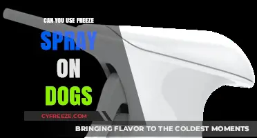 Using Freeze Spray on Dogs: Safety Tips and Best Practices